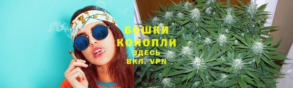 каннабис Аркадак