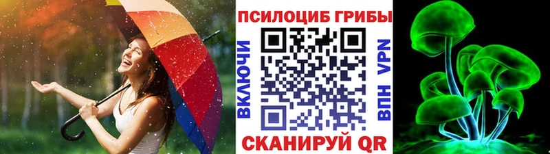 Псилоцибиновые грибы ЛСД  купить закладку  Южно-Сухокумск 